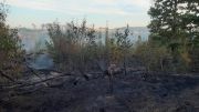 Waldbrand Schwarzes Holz